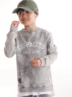 Bluza Dekatyzowana bez Kaptura Szara DESPACITO